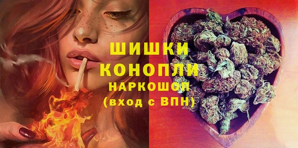спиды Няндома