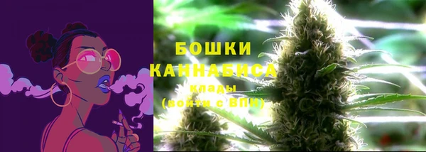 спиды Няндома