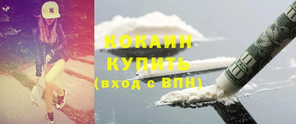 тгк Новозыбков