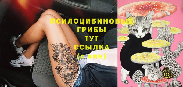 спиды Няндома