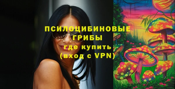 спиды Няндома